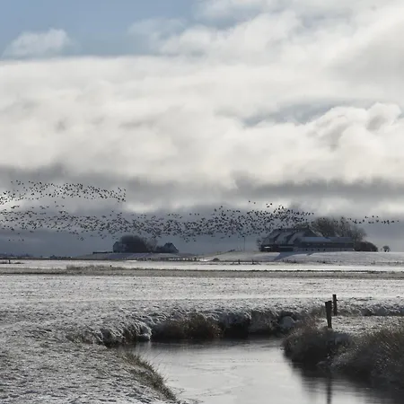 Friesenblau Im Haus Schladenhaufen 公寓 *