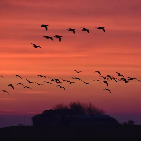 Friesenblau Im Haus Schladenhaufen 公寓 Langeneß