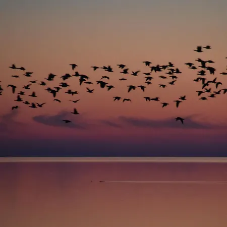 Friesenblau Im Haus Schladenhaufen * Langeneß