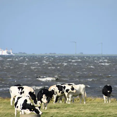 Friesenblau Im Haus Schladenhaufen 公寓