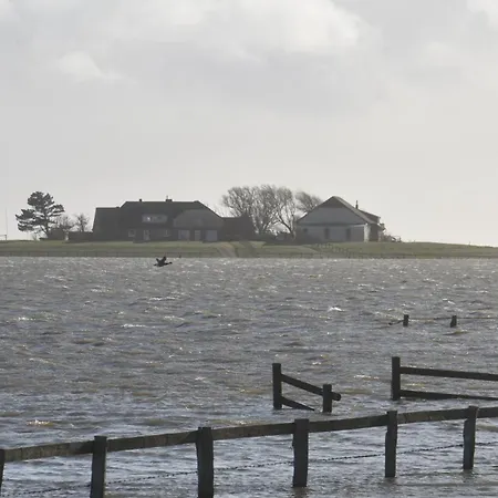 Friesenblau Im Haus Schladenhaufen *